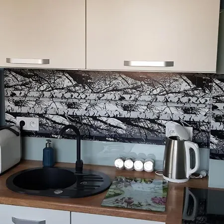 Apartment Centrum Czestochowa