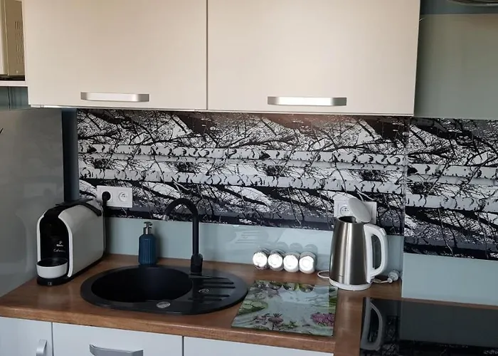 דירה Centrum צ'סטוצ'ובה